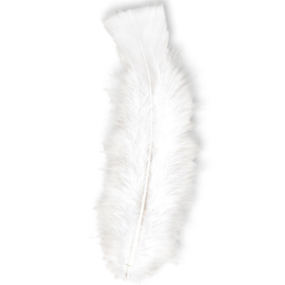 Peříčka bílá - 50 ks peří bílé - délka 10 cm