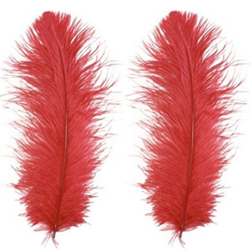 Peříčka červená - 50 ks peří červené - délka 10 cm