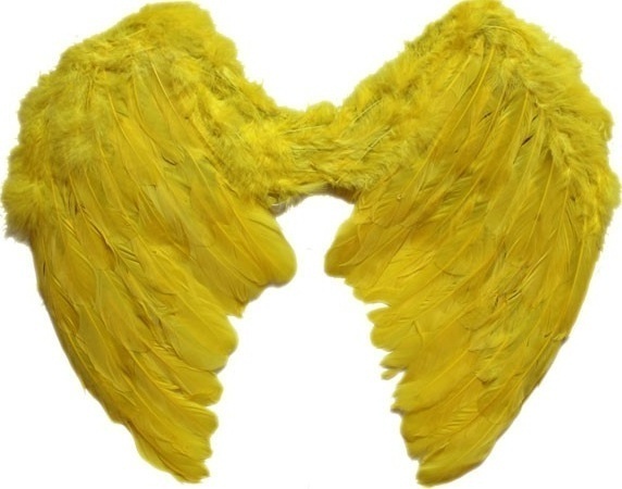 Křídla - Péřová žlutá 38 x 42 cm