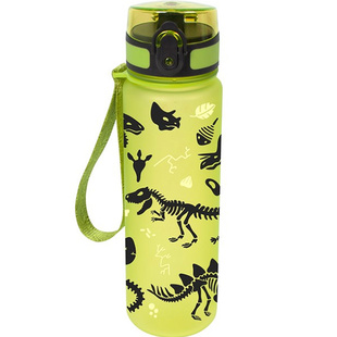 Láhev 500 ml - Dinosauři