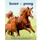 Koně a pony - Vše o koních