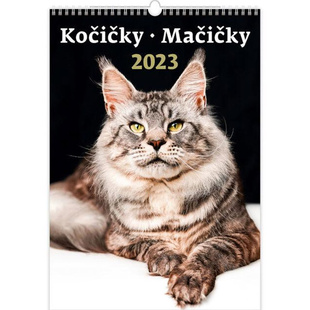 Kalendář nástěnný 2023 - Kočičky