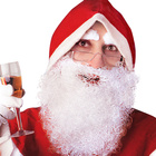 Plnovous a obočí - Santa Claus/Mikuláš - kudrnaté