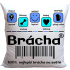 Polštář - 100% brácha