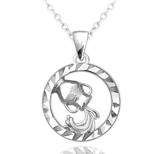 Stříbrný náhrdelník Minet Zodiac znamení VODNÁŘ