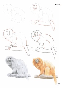 Jak nakreslit 132 zvířat
