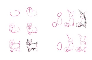 Nakresli 50 psů