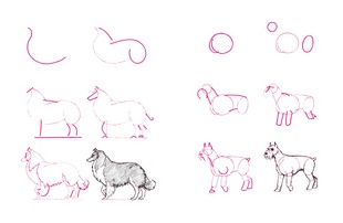 Nakresli 50 psů