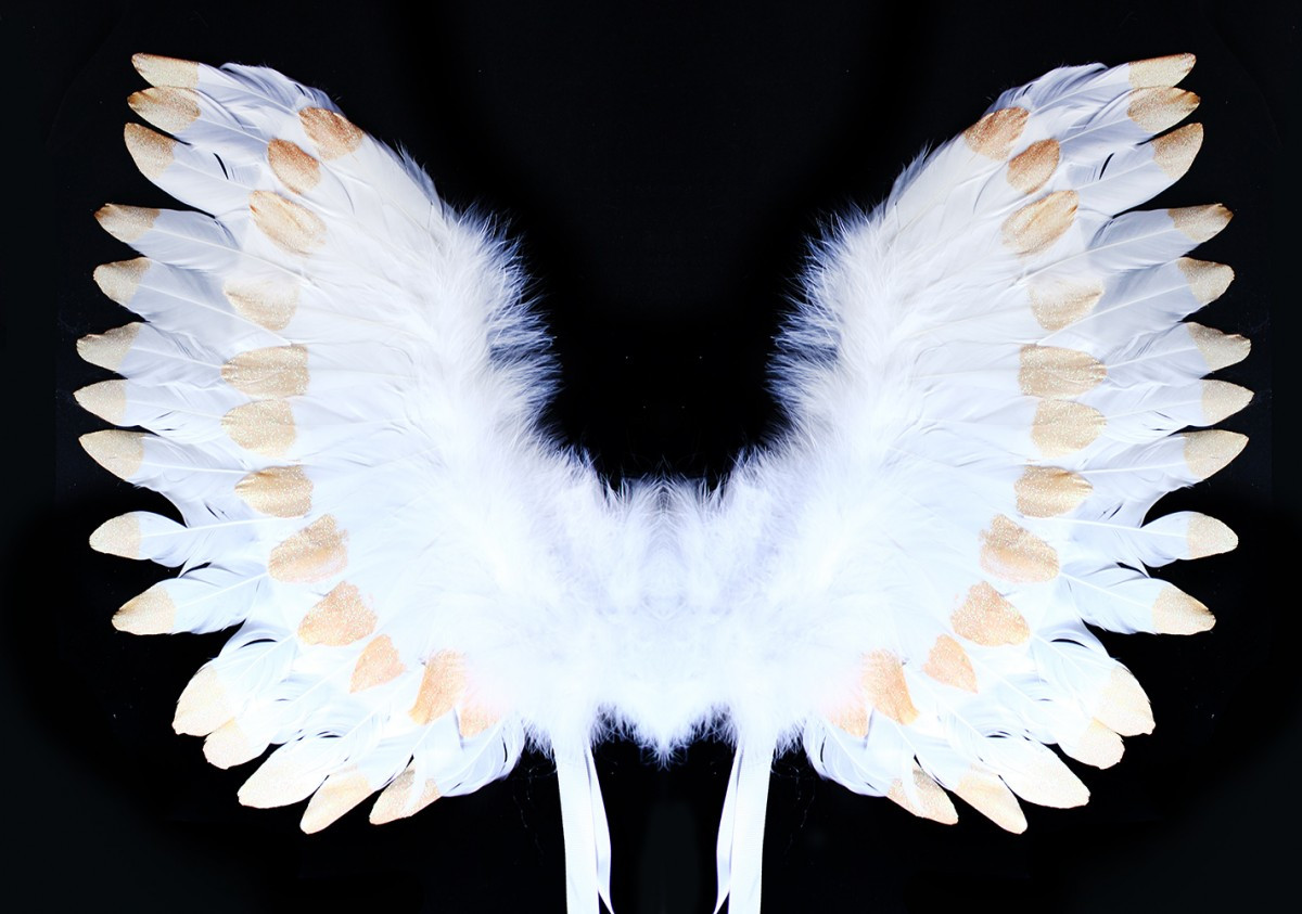 Andělská křídla s peřím, bílo-zlatá barva