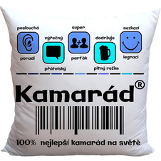 Polštář - 100% kamarád