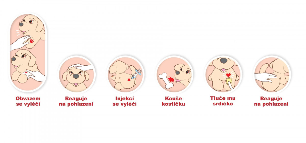 Můj nemocný kamarád Rafík - interaktivní mazlík