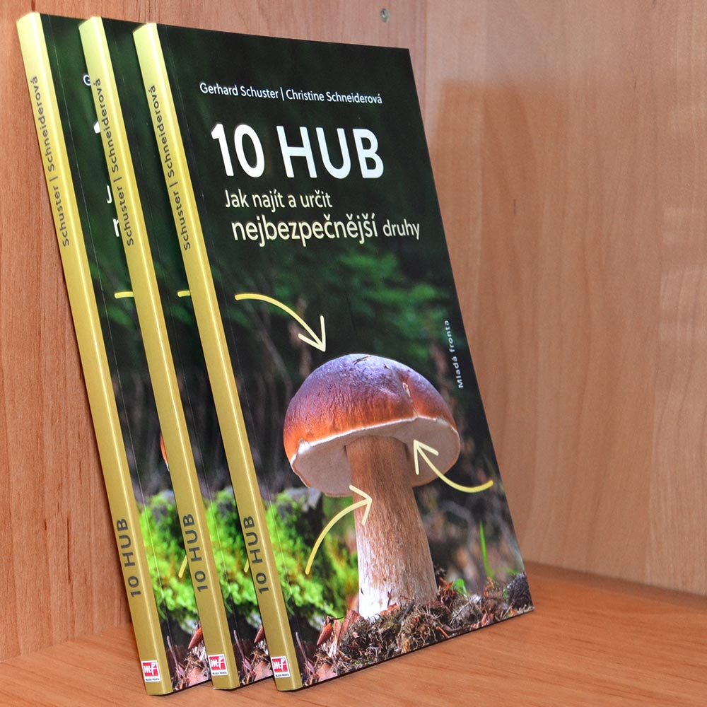 10 hub - Jak najít a určit nejčastější druhy