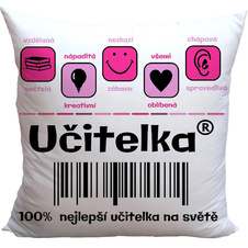 Polštář - 100% učitelka