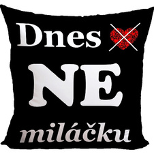 Polštář - Dnes ano/ne miláčku