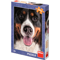 Puzzle XL 300 dílků - Bernský salašnický pes