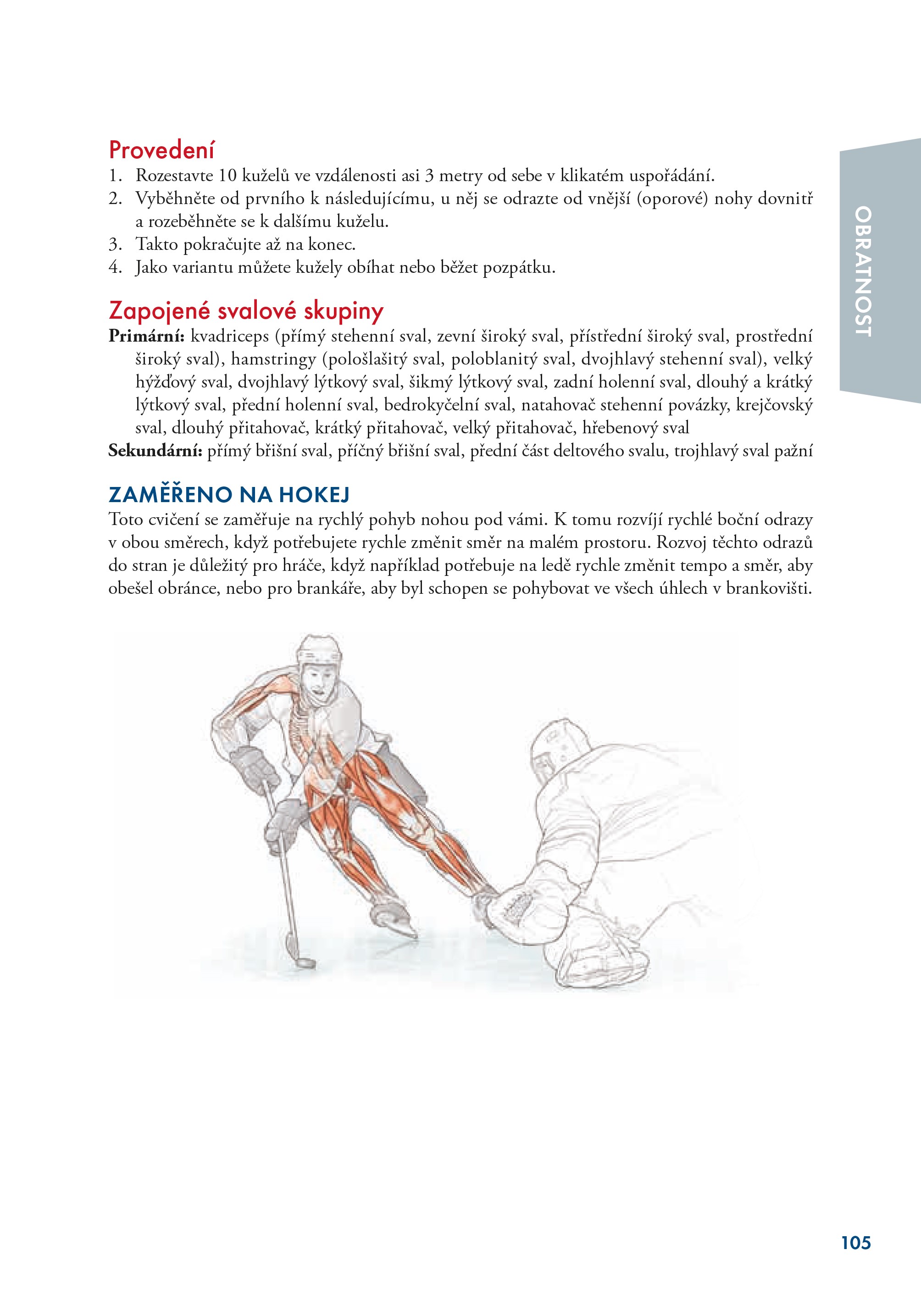 Hokej - anatomie