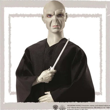 Harry Potter a Voldemort - figurky