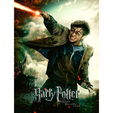 Puzzle Harry Potter 100 dílků XXL