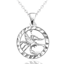 Stříbrný náhrdelník Minet Zodiac znamení ŠTÍR