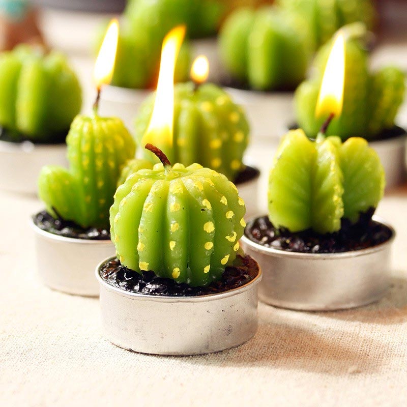 Kaktusové svíčky - Dárkové balení 6 ks