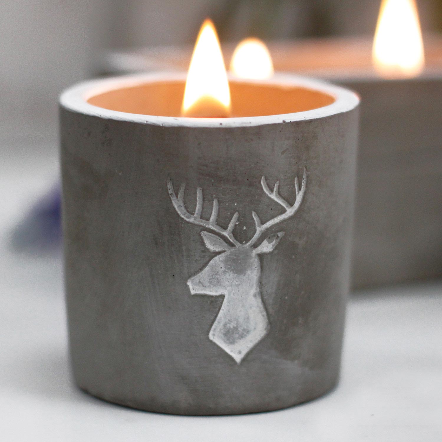 Sojová svíčka v betonu - Hlava jelena