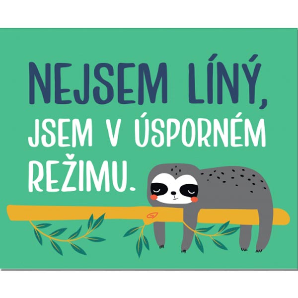 Cedulka na dveře - Nejsem líný