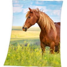 Fleece deka - Svobodný kůň