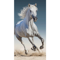 Osuška s bílým koněm v pohybu