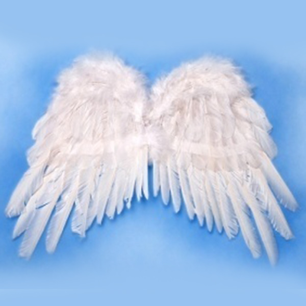 Křídla - Péřová bílá 38 x 42 cm