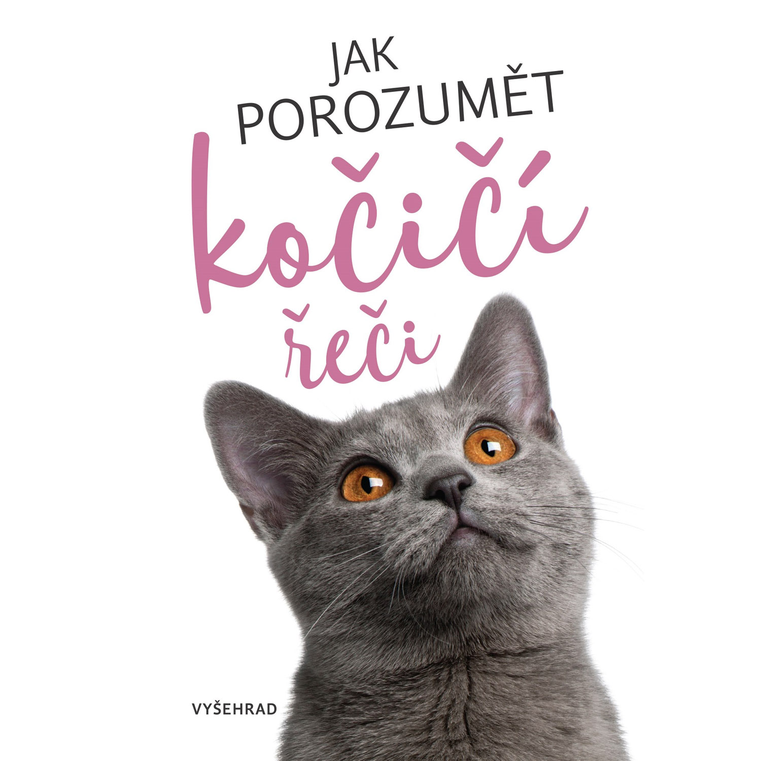 Jak porozumět kočičí řeči