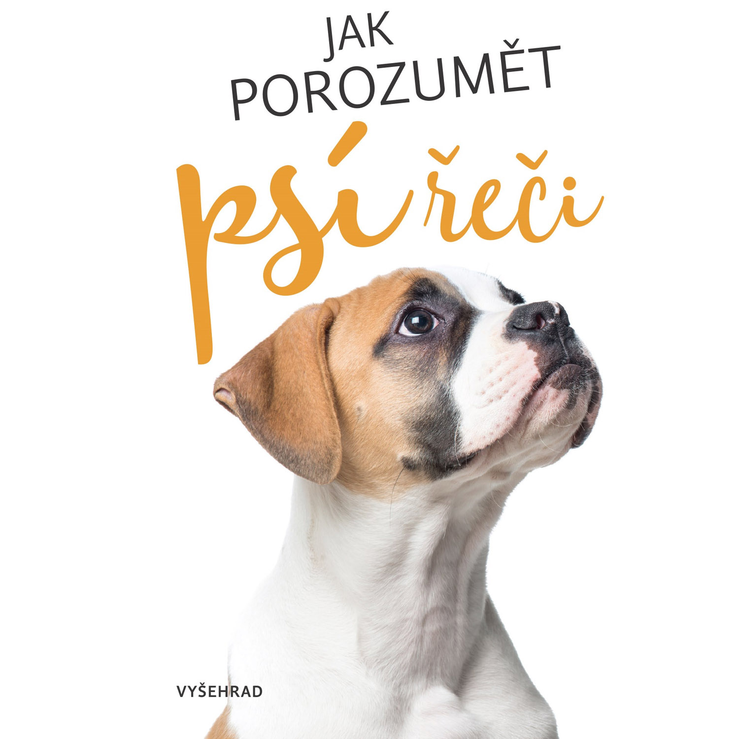 Jak porozumět psí řeči