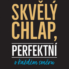 Hrnek - Skvělý chlap, perfektní v každém směru