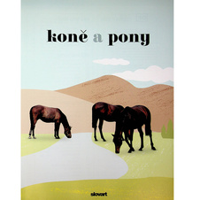 Koně a pony - Vše o koních