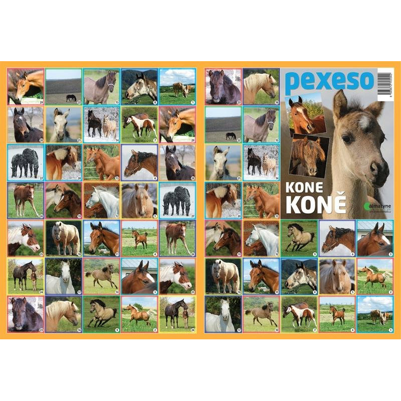 Pexeso - Koně
