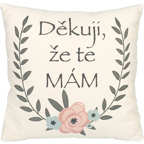 Plyšový polštář - Děkuji, že tě mám