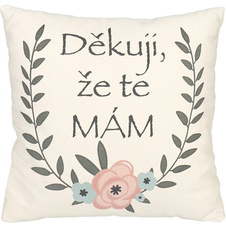 Plyšový polštář - Děkuji, že tě mám