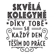 Šperkovnice - Skvělá kolegyně