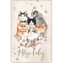 Aromatická karta – Miluju kočky
