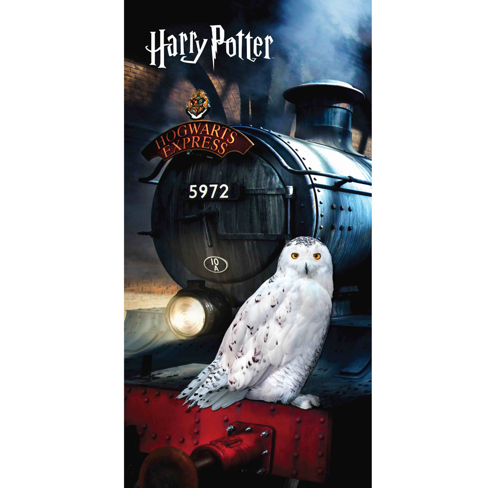 Bavlněná osuška Harry Potter Bradavický expres