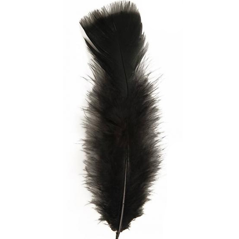 Peříčka černá - 50 ks peří černé - délka 10 cm