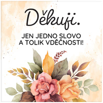 Magnetka - Děkuji