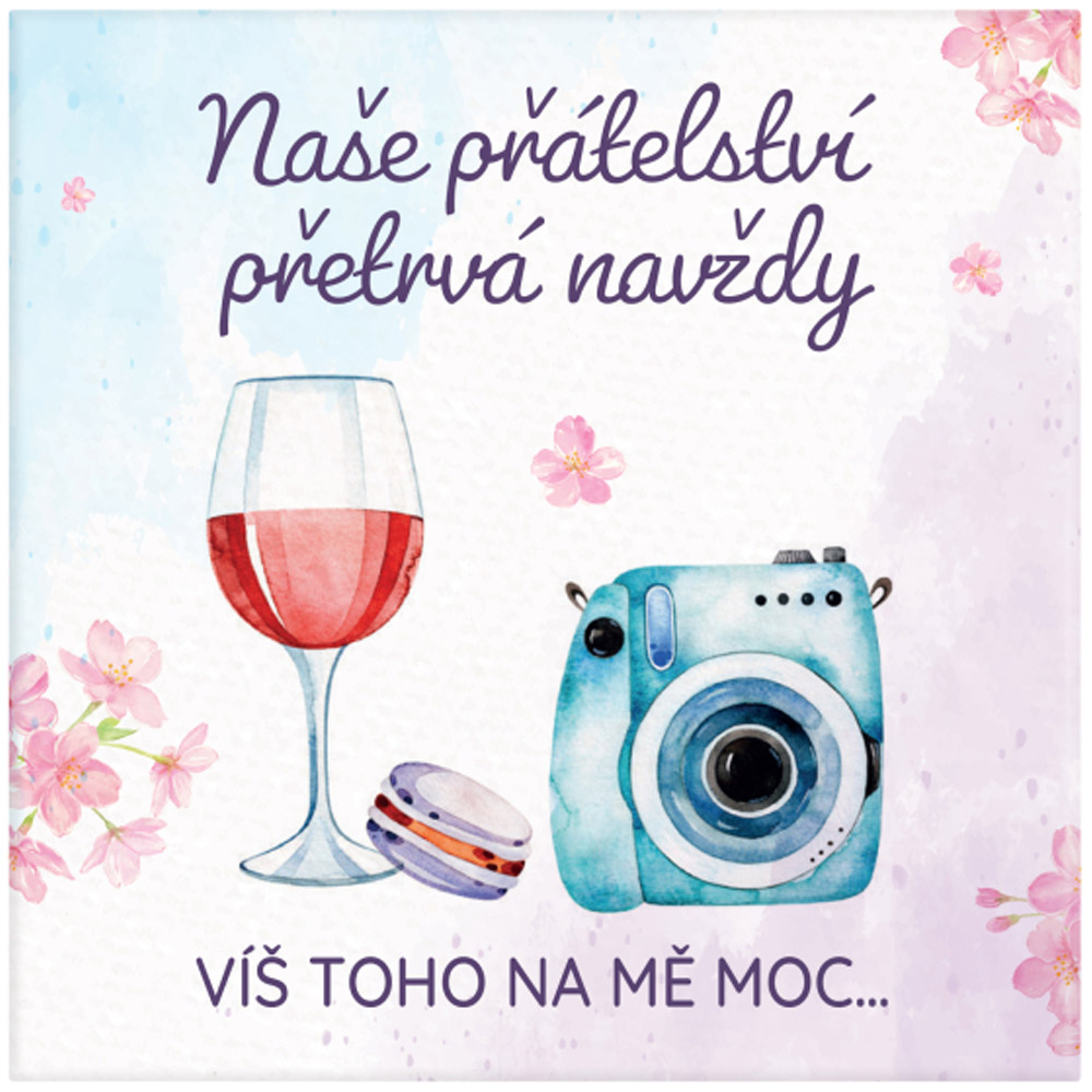 Magnetka - Přátelství