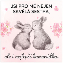 Magnetka - Sestra