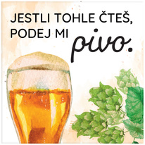 Magnetka - Pivo