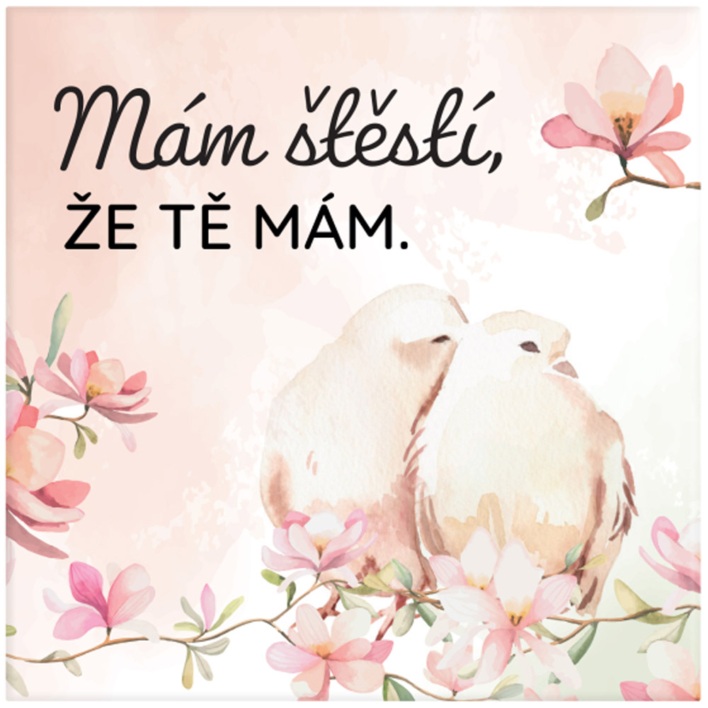 Magnetka - Láska - Mám štěstí, že tě mám