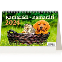 Kalendář stolní 2024 - Kamarádi/Kamaráti
