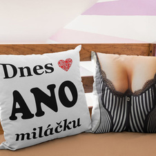 Polštář - Dnes ano/ne miláčku