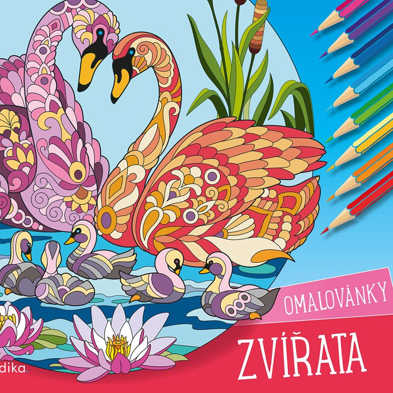 Zvířata – omalovánky