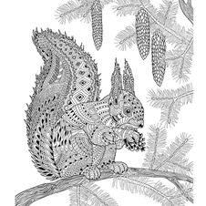 Zvířata – omalovánky