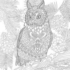 Zvířata – omalovánky